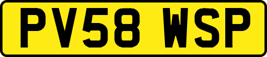 PV58WSP