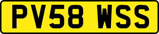 PV58WSS