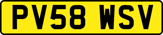 PV58WSV