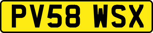 PV58WSX