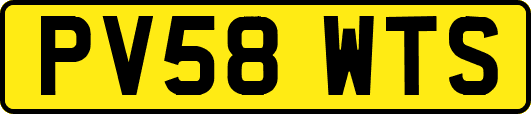PV58WTS
