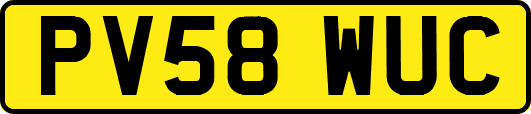 PV58WUC