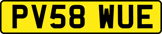 PV58WUE