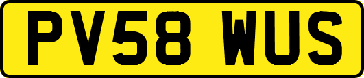 PV58WUS