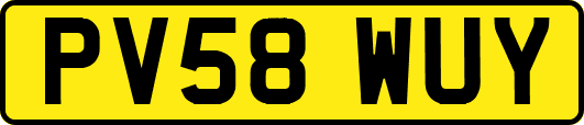 PV58WUY