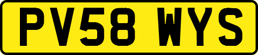 PV58WYS