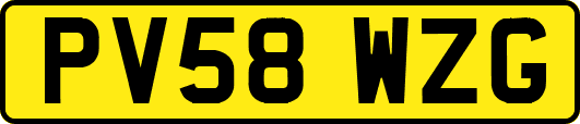PV58WZG