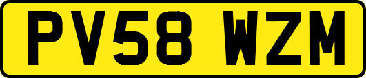 PV58WZM