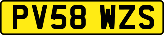 PV58WZS