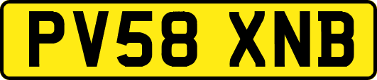 PV58XNB
