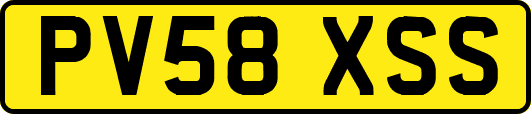 PV58XSS