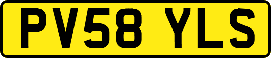 PV58YLS