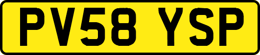 PV58YSP