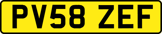 PV58ZEF