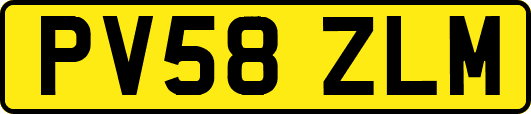 PV58ZLM