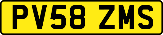 PV58ZMS
