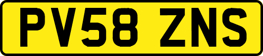 PV58ZNS
