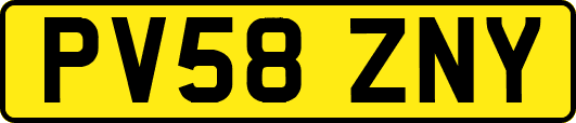 PV58ZNY