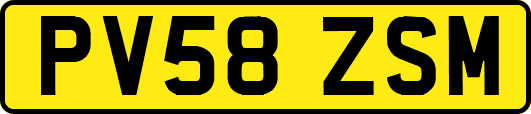 PV58ZSM