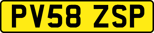 PV58ZSP