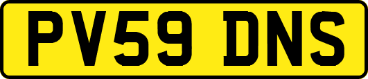 PV59DNS