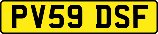 PV59DSF