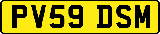 PV59DSM