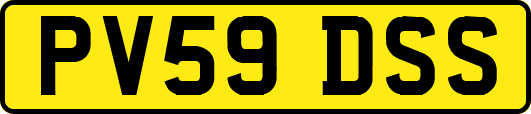 PV59DSS