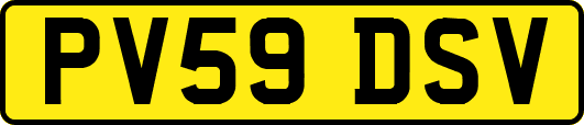 PV59DSV