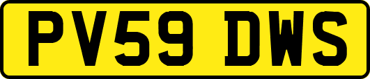 PV59DWS