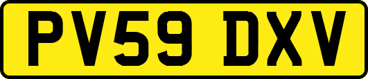 PV59DXV