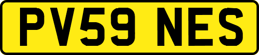 PV59NES
