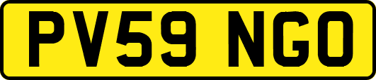 PV59NGO