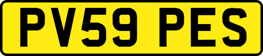 PV59PES