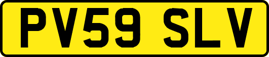 PV59SLV