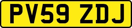 PV59ZDJ