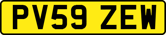 PV59ZEW