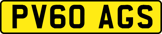 PV60AGS