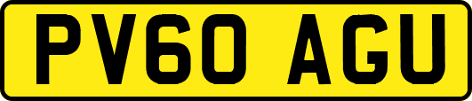 PV60AGU