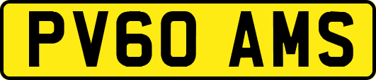 PV60AMS