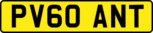 PV60ANT