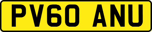 PV60ANU