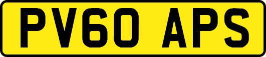 PV60APS