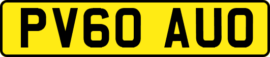 PV60AUO