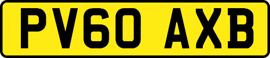 PV60AXB