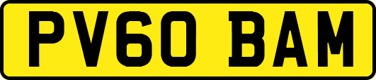 PV60BAM