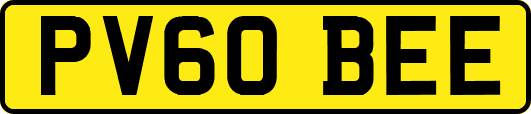 PV60BEE