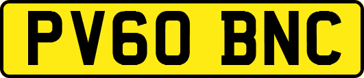 PV60BNC