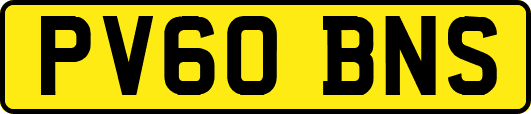 PV60BNS