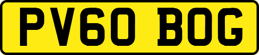 PV60BOG
